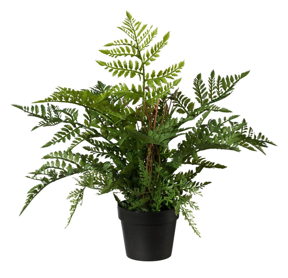 Okrasna Rastlina Farn I - zelena, Basics, umetna masa (35cm) - Modern Living