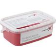 Wandfarbe Fabian in Rot, ca. 2,5l - Rot (2,5l) - MÖMAX modern living