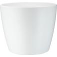 Blumentopf Luisa Verschiedenen Farben - Rosa/Weiß, MODERN, Keramik (31/25cm) - Mömax modern living Blumentopf Luisa Verschiedenen Farben - Rosa/Weiß, MODERN, Keramik (31/25cm) - Mömax modern living