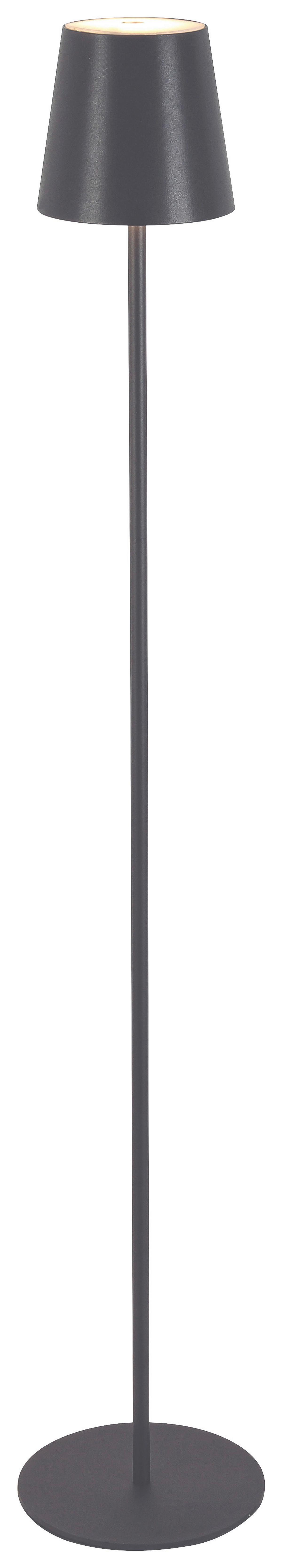 LED Állólámpa Ausi - antracit, Modern, műanyag/fém (22/130cm) - Modern Living