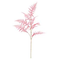 Kunstpflanze Plumosus I Pink ca. 80cm - Pink/Creme, Basics, Kunststoff/Metall (80cm) - Mömax