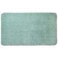 Badematte Mintgrün - Mintgrün, MODERN, Textil (70/120cm) - Premium Living Badematte Mintgrün - Mintgrün, MODERN, Textil (70/120cm) - Premium Living