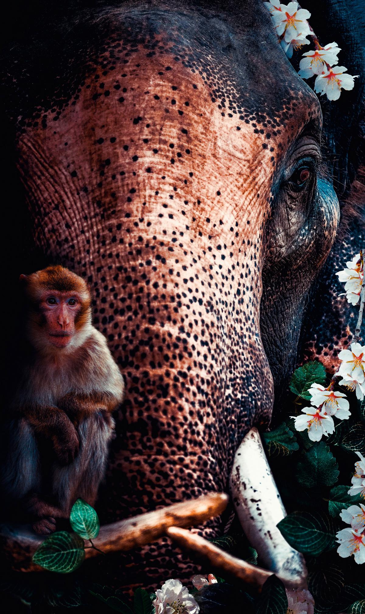 BILD POSTERJUNKIE-20-70X118-DBW-MKO - Multicolor, Basics, Kunststoff/Metall (70/118/10cm)