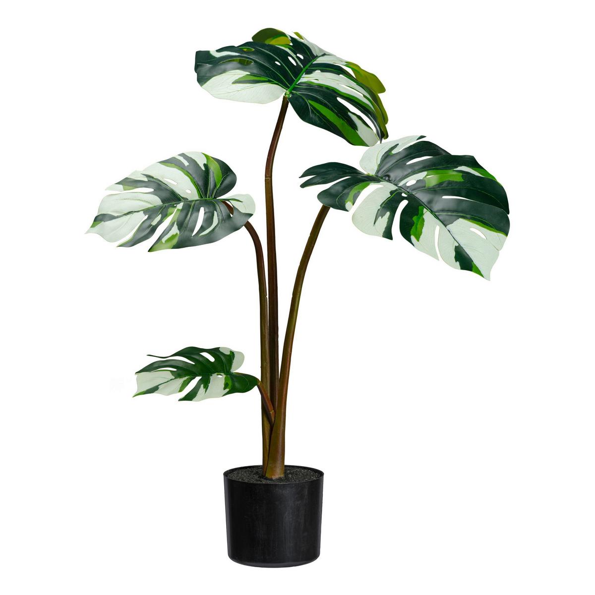 Plantă artificială MONSTERA DELICIOSA I -PAZ- - alb/verde, Basics, plastic (95cm) - Premium Living
