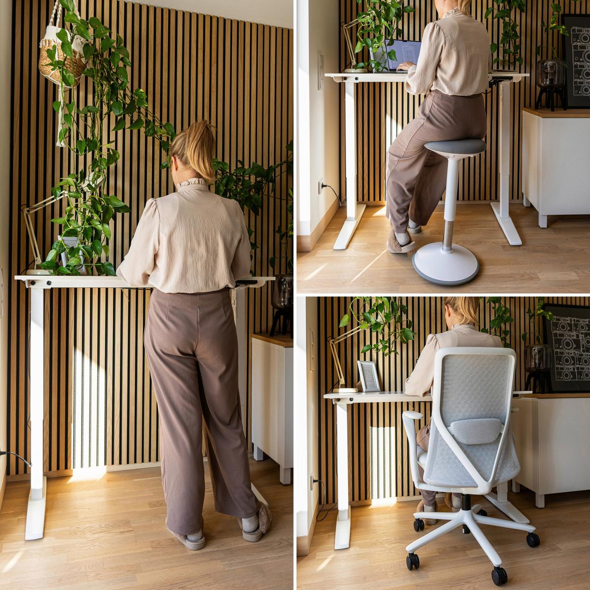 Dvižna Miza Stand Basic, Bela - bela, Moderno, leseni material (120/60/75 - 120cm) - MID.YOU