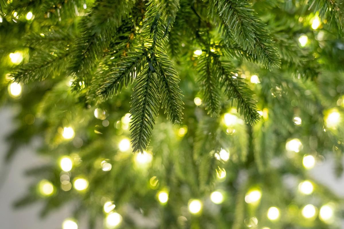 Weihnachtsbaum Evergreen Sherwood Grün ca. H: 150cm - Waldgrün, Basics, Kunststoff (104/150cm)