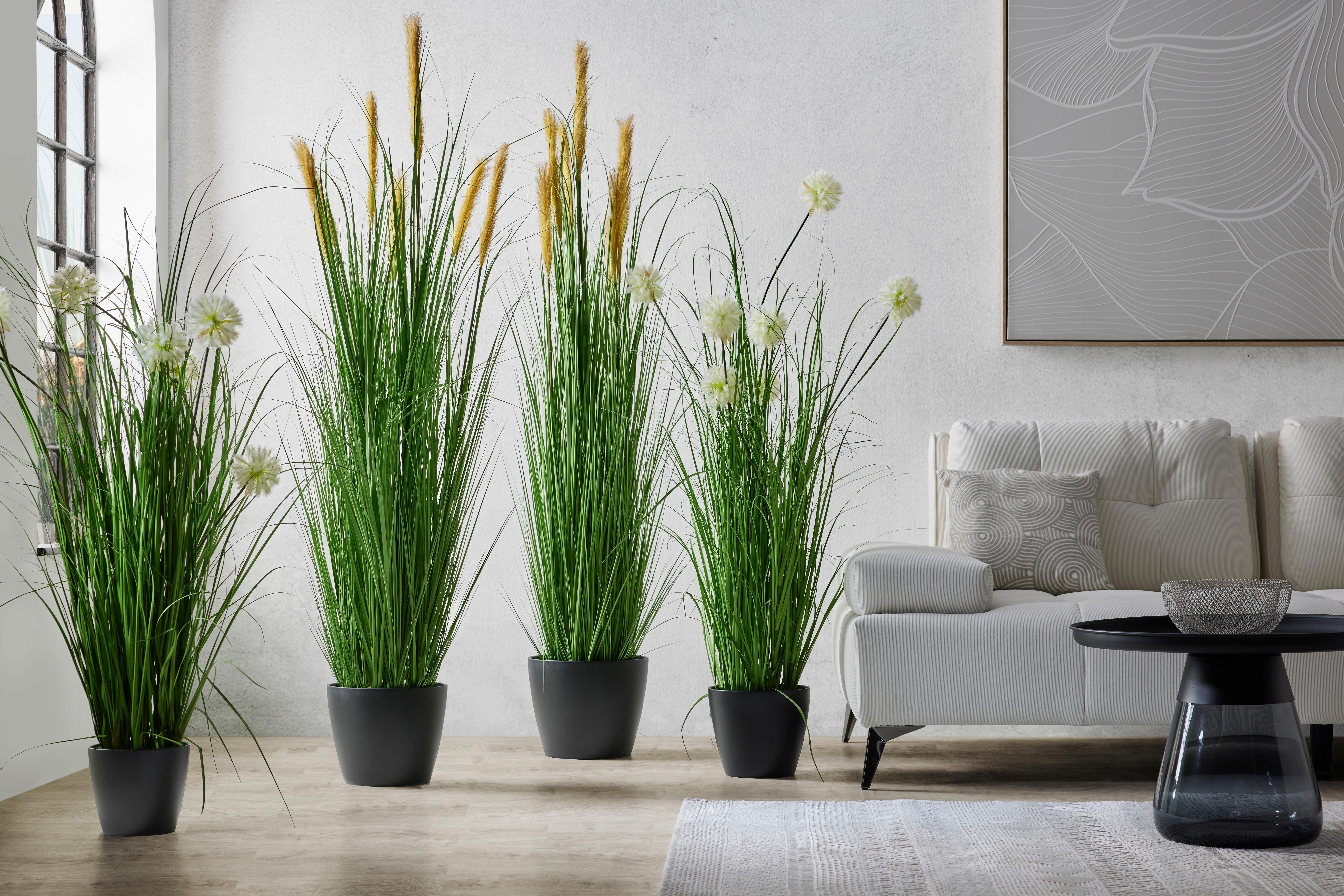 Kunstpflanze Grasbusch ca. 180cm - Weiss/Grün, Natur, Kunststoff (180cm) - Modern Living