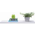 Stenska Polica Sunny - bela, Moderno, les (80/9/24cm) - Premium Living Stenska Polica Sunny - bela, Moderno, les (80/9/24cm) - Premium Living