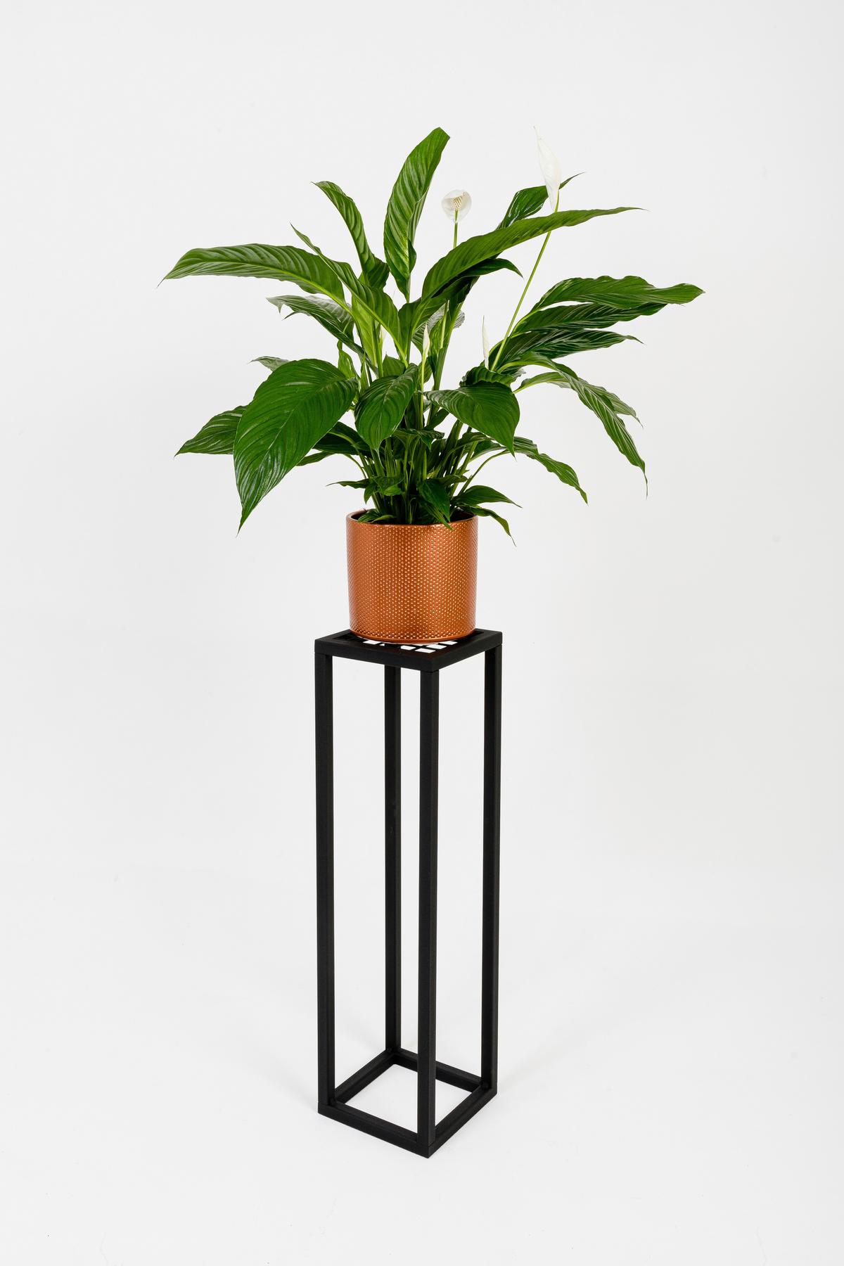 Blumenständer Schwarz - Schwarz, Basics, Metall (19/75/19cm)