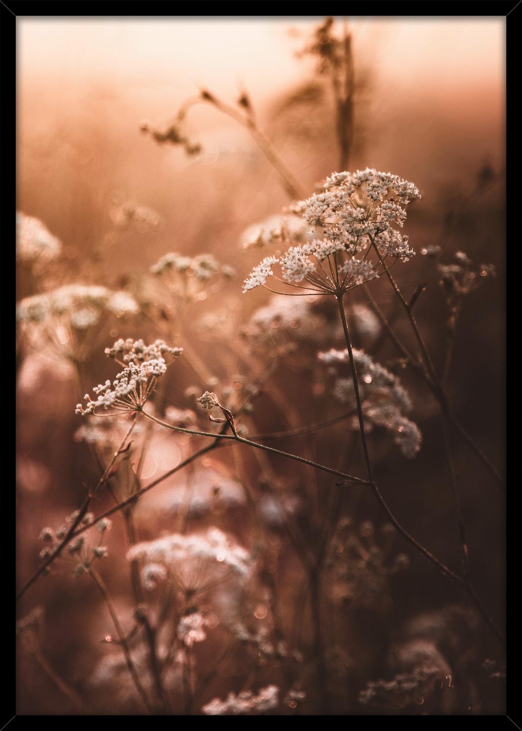 Bild Image ca. 50x70cm - Dunkelbraun/Beige, Holzwerkstoff/Papier (50/70cm) - Modern Living