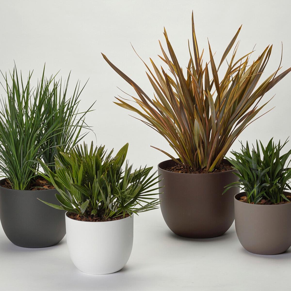 Übertopf Weiß matt - Weiß, Basics, Kunststoff (40/32,5cm)