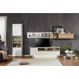 Vitrine in Weiß - Edelstahlfarben/Eichefarben, MODERN, Holzwerkstoff/Kunststoff (57/200/42cm) - Premium Living Vitrine in Weiß - Edelstahlfarben/Eichefarben, MODERN, Holzwerkstoff/Kunststoff (57/200/42cm) - Premium Living