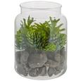 Plantă Artificială Julian - maro/verde, plastic/sticlă (12,5/16cm) Plantă Artificială Julian - maro/verde, plastic/sticlă (12,5/16cm)