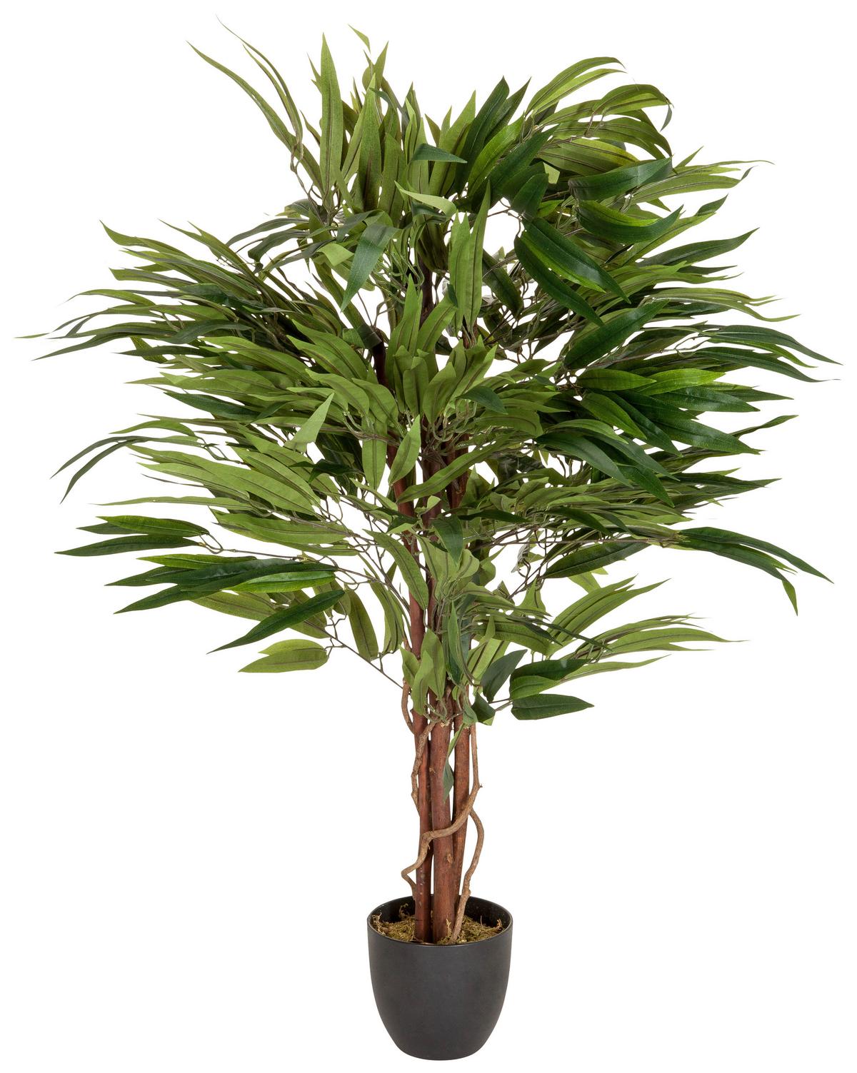 Umetna Rastlina Mango - črna/zelena, Basics, umetna masa (85/130/85cm) - MID.YOU