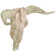 Wanddeko Skull Creme/Goldfarben - Goldfarben/Creme, LIFESTYLE, Metall (66/56/30cm) - Modern Living