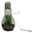 LED-Dekoleuchte Bettina verschiedene Designs - Glas/Kunststoff (9/9/18cm) LED-Dekoleuchte Bettina verschiedene Designs - Glas/Kunststoff (9/9/18cm)