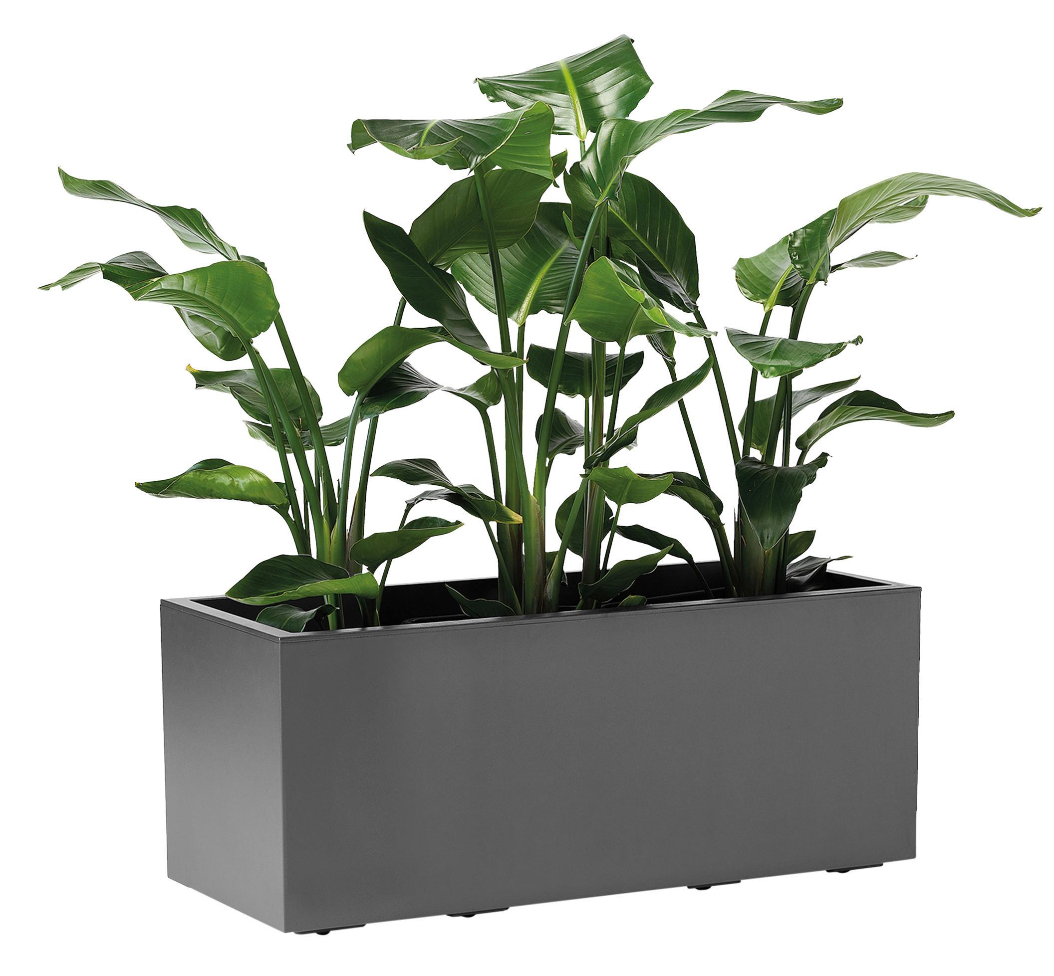 Blumenkasten Anthrazit - Anthrazit, Basics, Kunststoff (99,5/39,5/39,5cm)