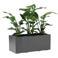 Blumenkasten Anthrazit - Anthrazit, Basics, Kunststoff (99,5/39,5/39,5cm)
