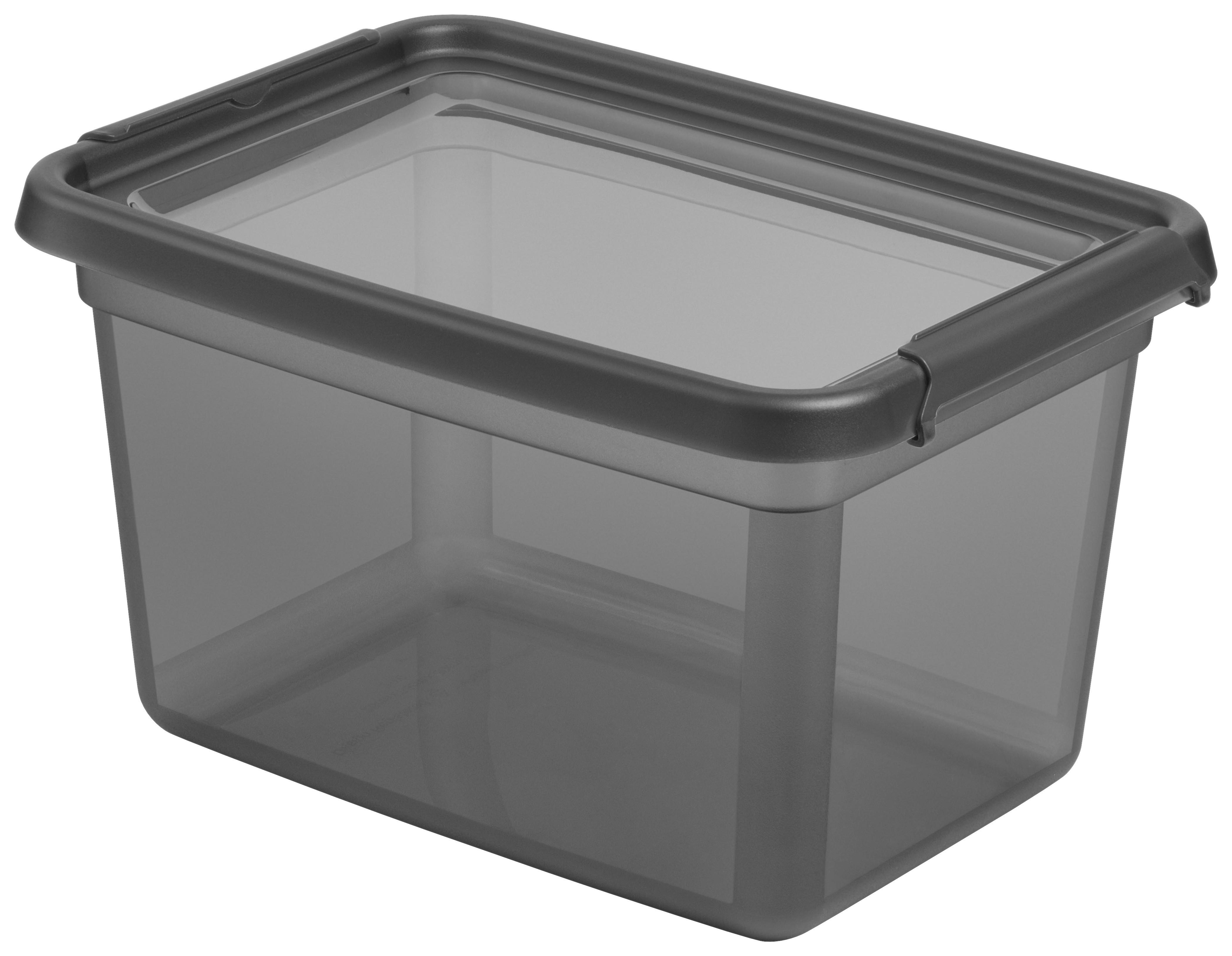 Aufbewahrungsbox Blacky in Schwarz ca. 15,5l - Transparent/Schwarz, Modern, Kunststoff (28/38/22cm) - Premium Living