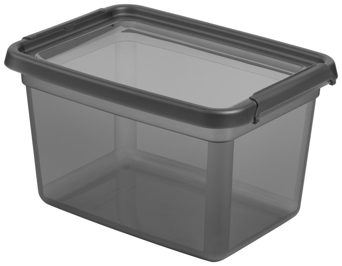 Tárolódoboz Blacky - Kb. 15,5l - fekete/áttetsző, Modern, műanyag (28/38/22cm) - Mömax