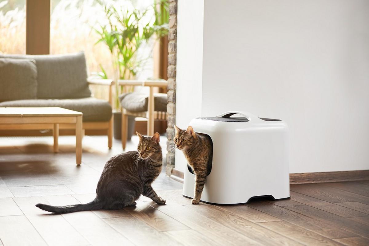 KUWETA DLA KOTA 4005201023WS - biały, Basics, tworzywo sztuczne (51/39,5/44,3cm) - Rotho