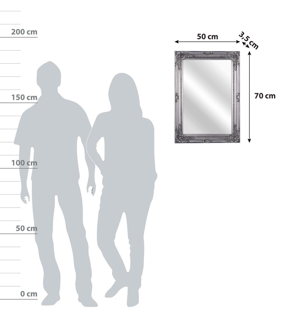 Oglindă de perete Walter - argintiu, Modern, sticlă/material pe bază de lemn (50/70/3,5cm) - Modern Living