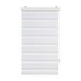 Rulou Zebră Thomas - alb, plastic/textil (60/160cm) - Premium Living Rulou Zebră Thomas - alb, plastic/textil (60/160cm) - Premium Living