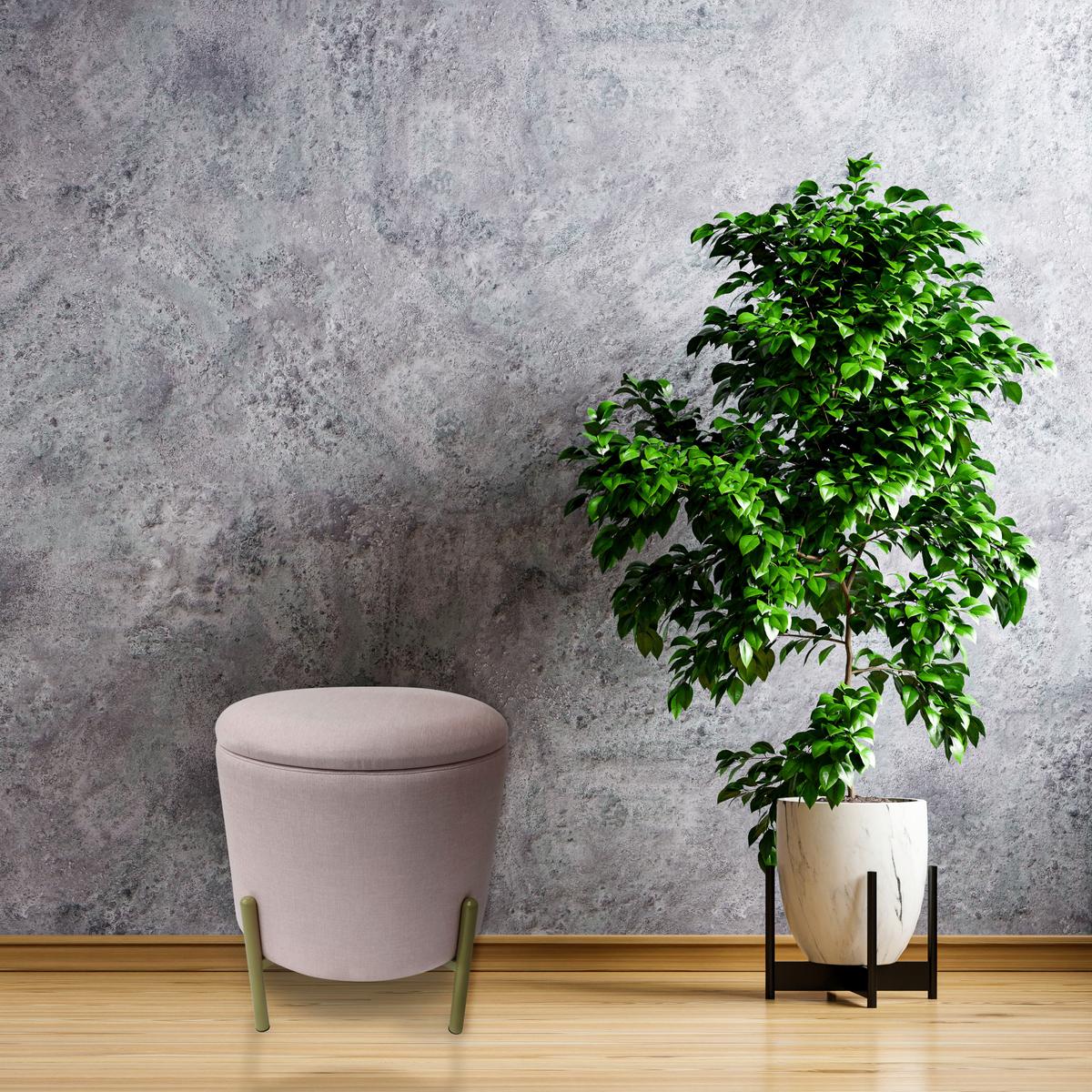 Hocker Logan Rosa Samt mit Stauraum - Goldfarben/Rosa, Design, Textil/Metall (36/40/36cm) - Echtwerk