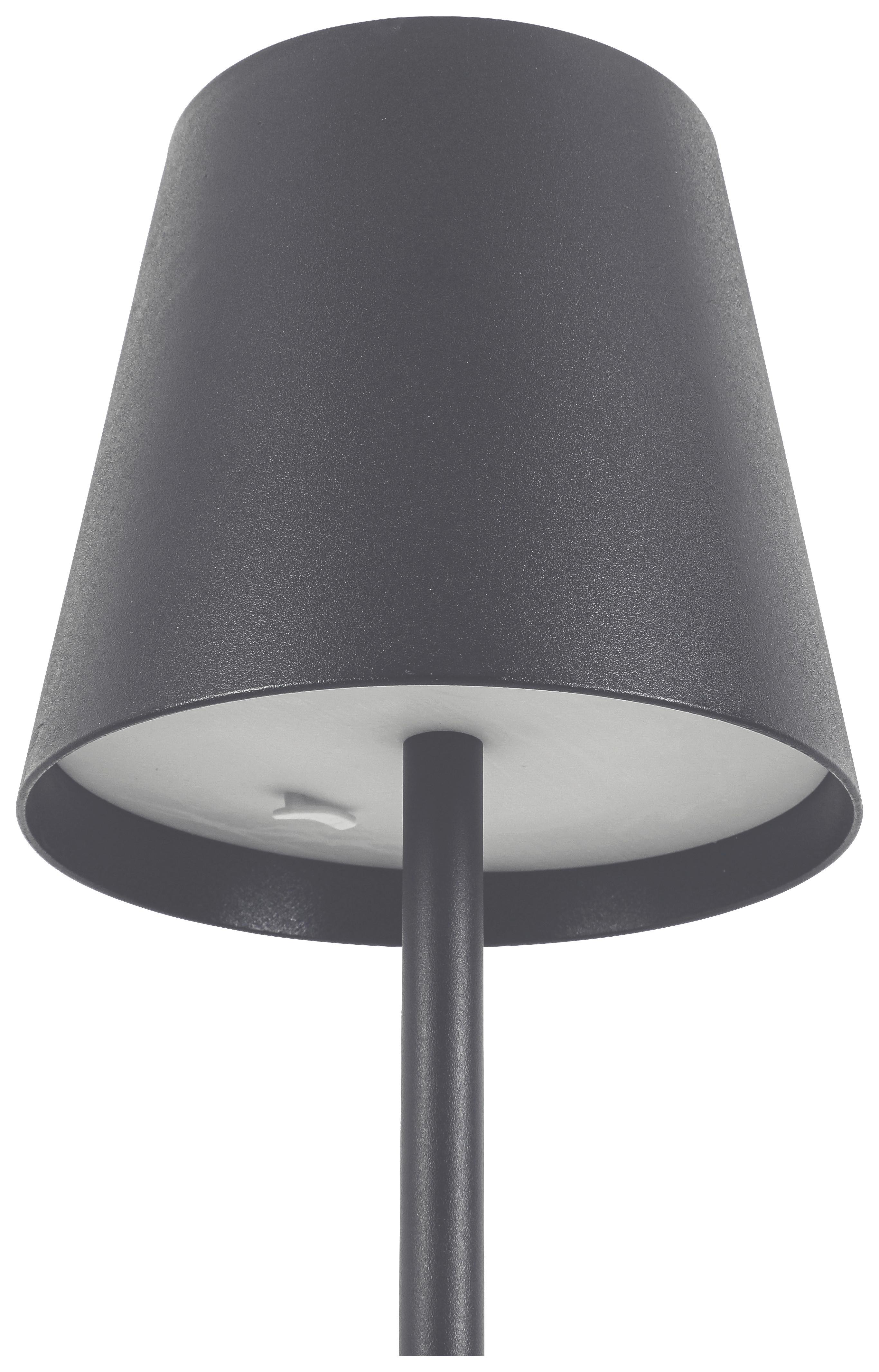 Lampă de exterior cu LED Ausi - antracit, Modern, plastic/metal (22/130cm) - Modern Living