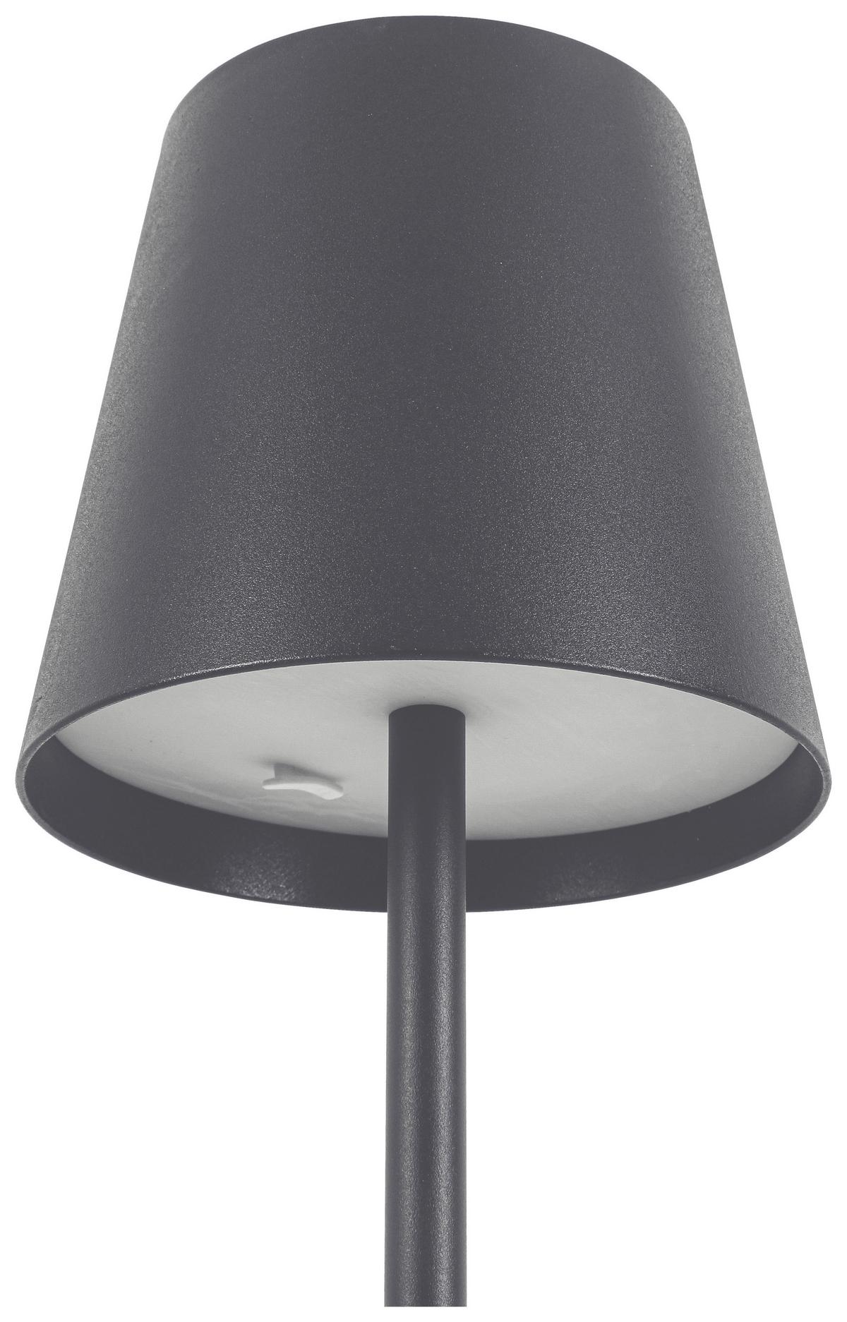 LED Állólámpa Ausi - antracit, Modern, műanyag/fém (22/130cm) - Modern Living