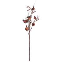 Okrasna Vejica Pomegranate - večbarvno/rjava, Konvencionalno, kovina/umetna masa (93cm) - Mömax