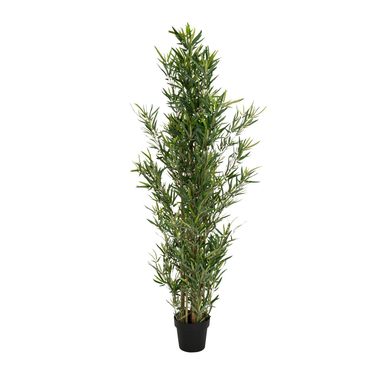 Umetna Rastlina Bambus - črna/zelena, Basics, umetna masa/tekstil (70/165/70cm) - MID.YOU