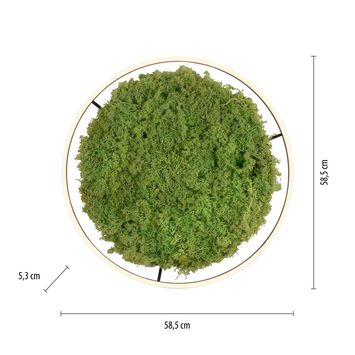 KINKIET 15392-66 GREEN RITUS - Natur, tworzywo sztuczne/materiały naturalne (58,5/58,5/5,3cm)