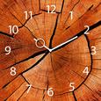 Stenska Ura Annual Rings - naravna, Konvencionalno, kovina/steklo (30/30/3,5cm)