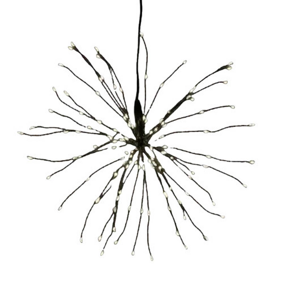 Okrasna Zvezda Kian - (50cm) - Mömax