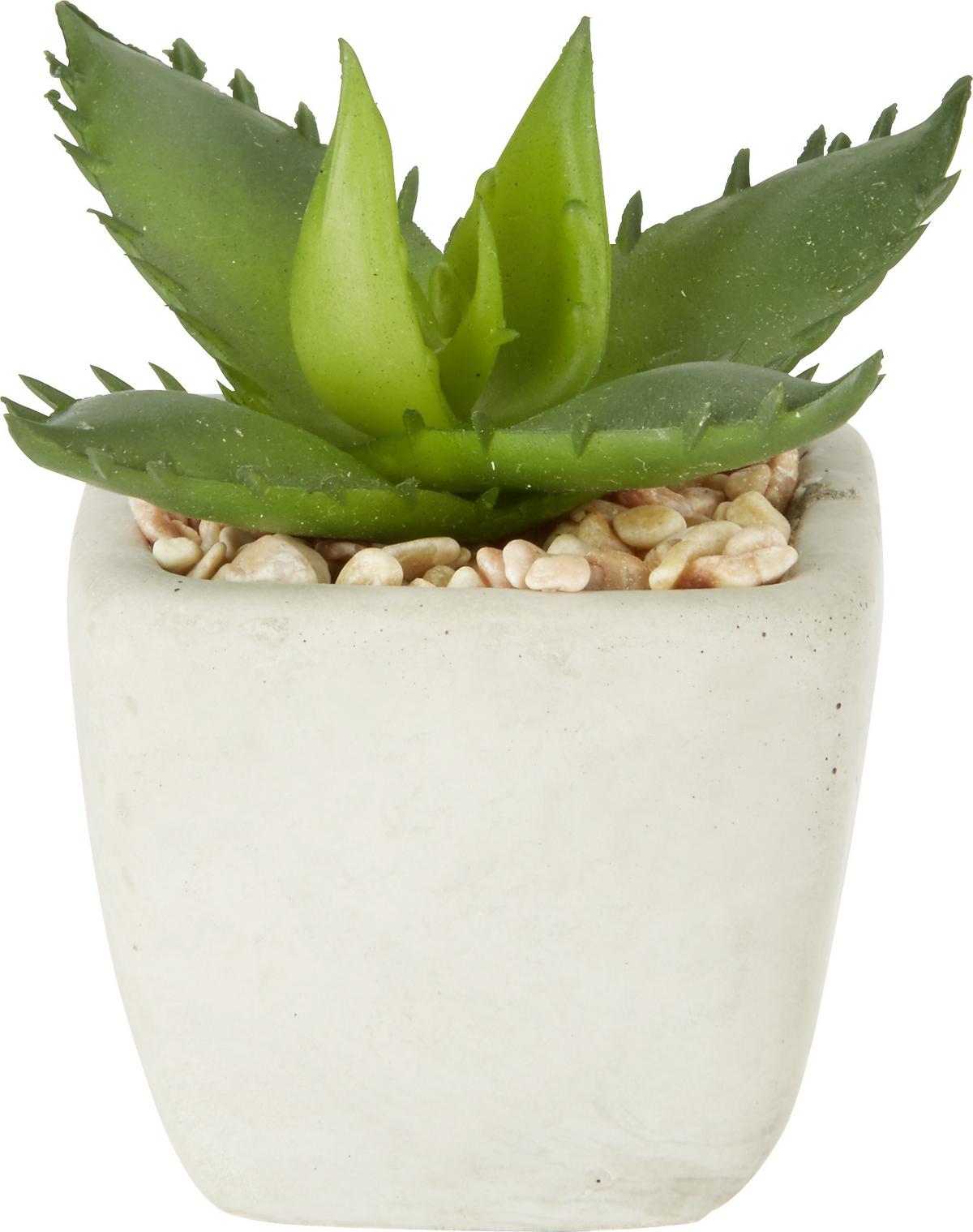 Plantă artificială Sukkulente - verde, Lifestyle, plastic (7-9cm) - Modern Living