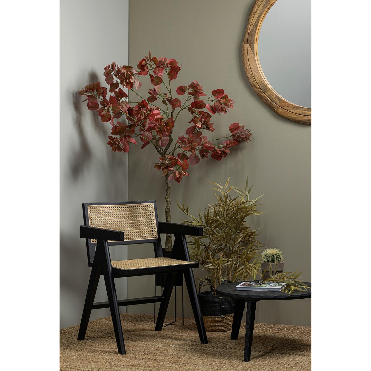 Armlehnstuhl Gunn Schwarz B: 54 cm - Schwarz/Naturfarben, Design, Holz (54/80/54cm) - Livetastic