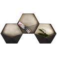 Wandregal Schwarz - Schwarz, LIFESTYLE, Metall (113/59/16,5cm) - Modern Living Wandregal Schwarz - Schwarz, LIFESTYLE, Metall (113/59/16,5cm) - Modern Living