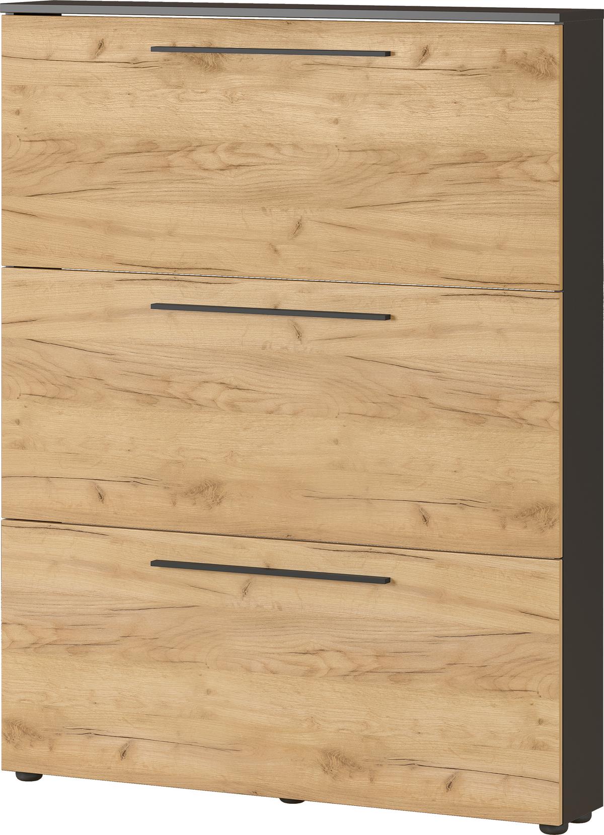 Schuhkipper Wildomar in Braun/Graphitfarben - Graphitfarben/Schwarz, MODERN, Holzwerkstoff/Metall (100/129/19cm) - Mömax