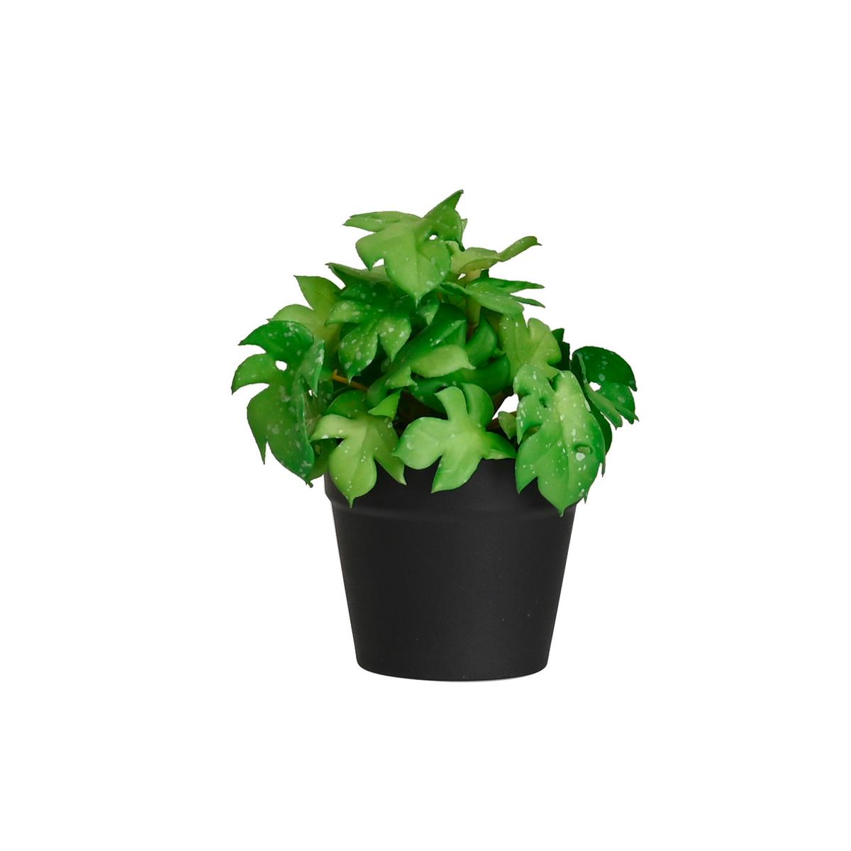 Plantă artificială PFLANZENGESTECK - verde/negru, plastic (7/13cm) - Mömax