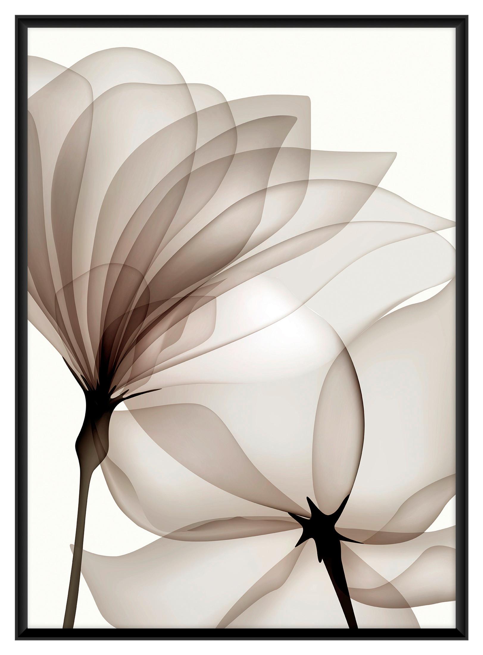 Bild Kenzo Multicolor ca. 50x70cm - Multicolor/Schwarz, Holzwerkstoff/Papier (50/70cm) - Modern Living