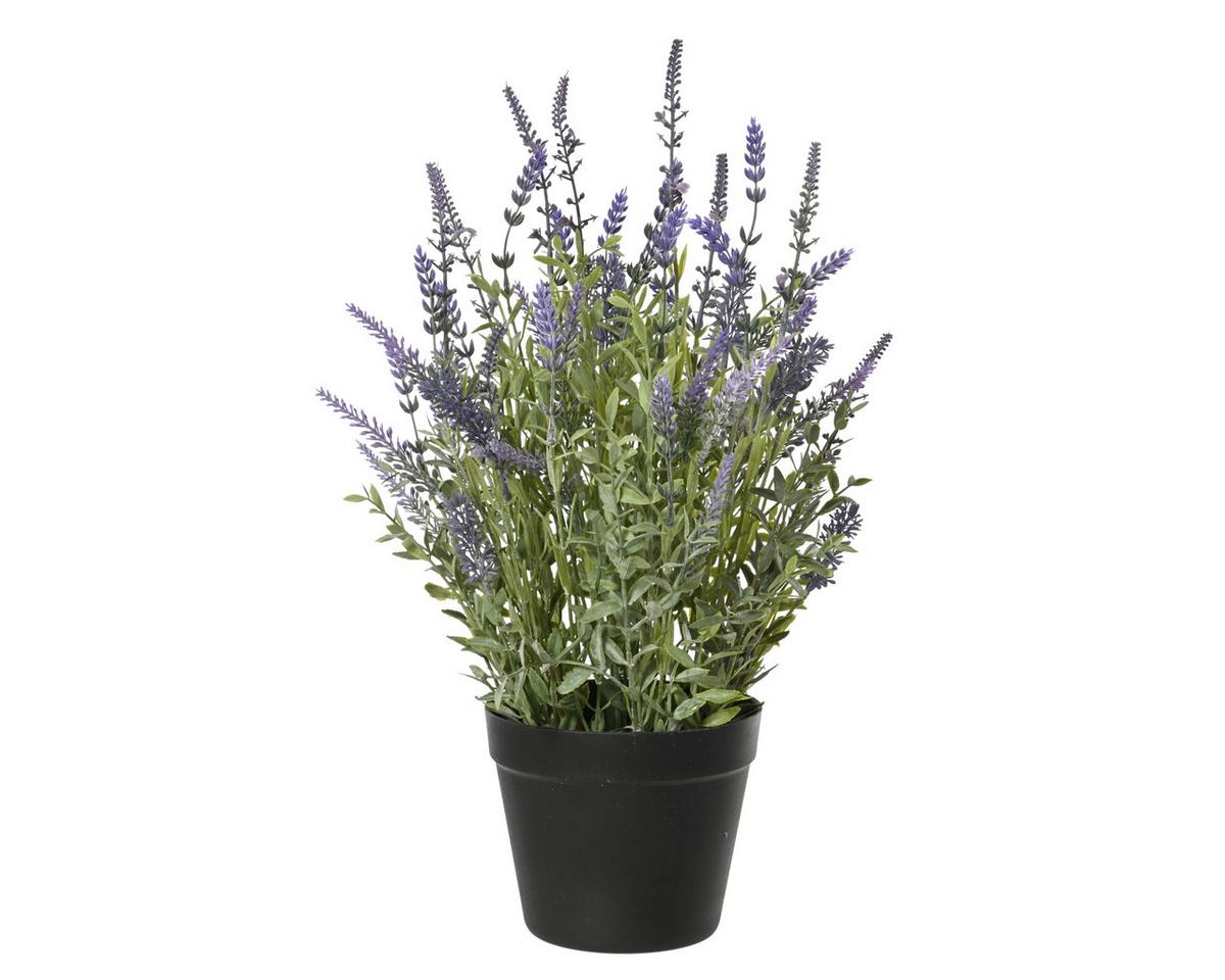 Plantă artificială Vincent, cca. 30x48 cm - lila/verde, Basics, plastic (30/48cm)
