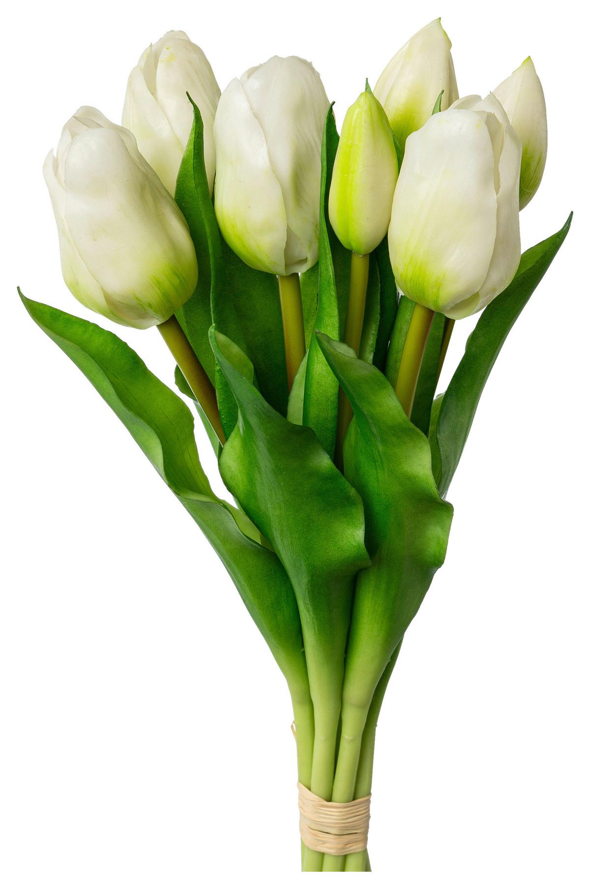Kunstpflanze Tulpenbund Weiss - Weiss/Grün, Basics, Kunststoff (32cm)