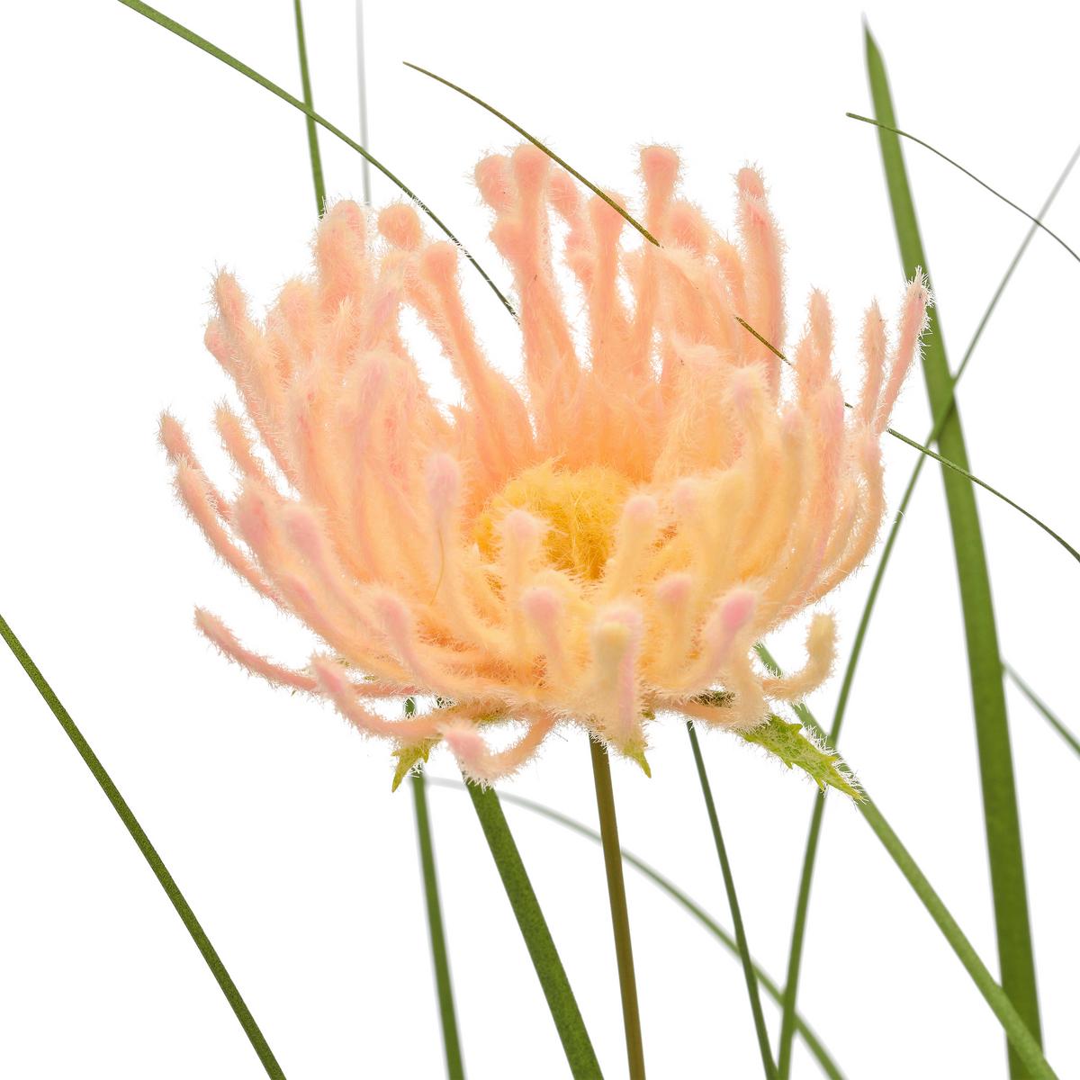 Grasbündel Blossom I Grün/Aprikose ca. 100cm - Aprikose/Grün, Basics, Kunststoff/Metall (100cm) - Mömax