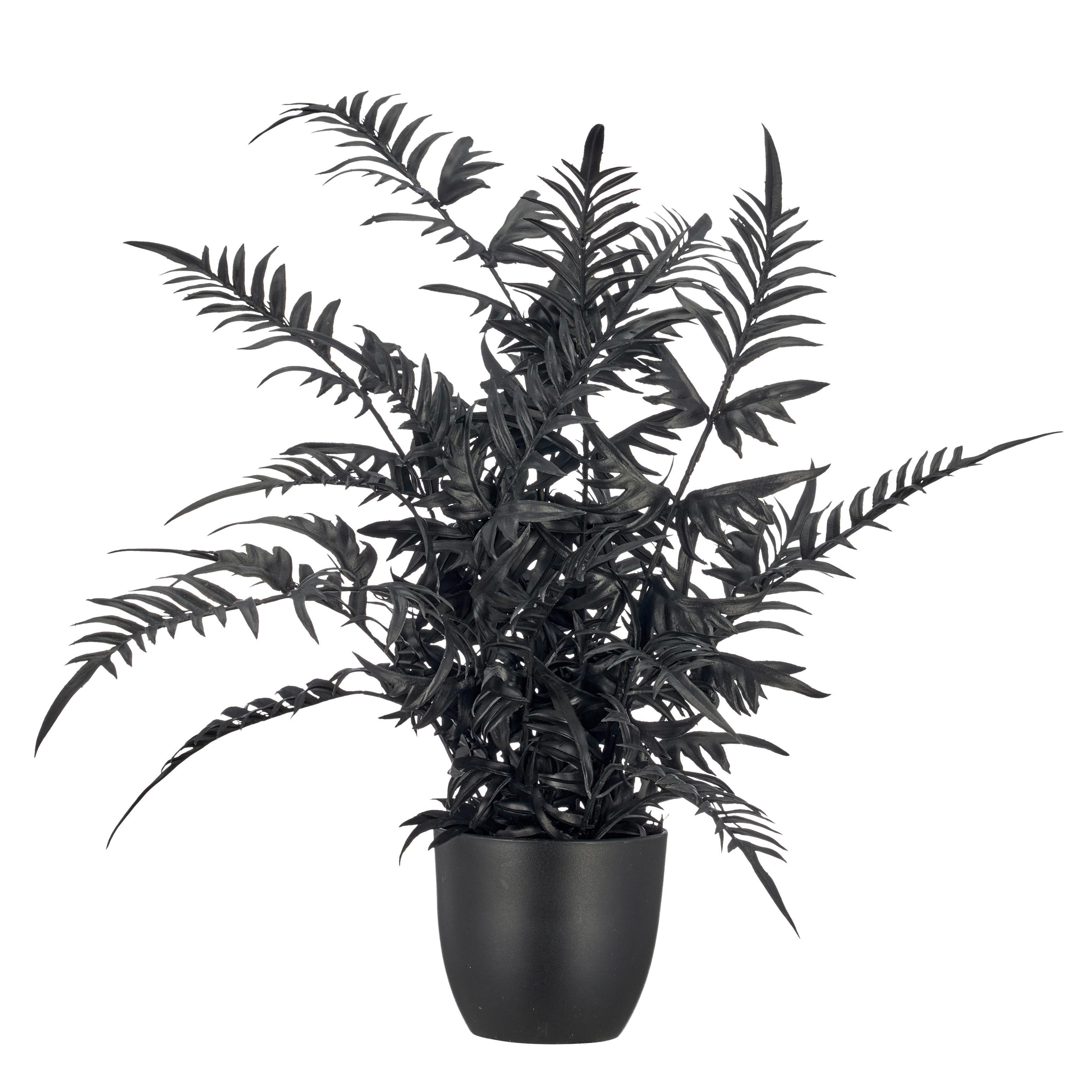Kunstpflanze Pteris II Schwarz ca. 50cm - Schwarz/Braun, Basics, Kunststoff/Metall (50cm) - Mömax