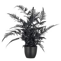 Kunstpflanze Pteris II Schwarz ca. 50cm - Schwarz/Braun, Basics, Kunststoff/Metall (50cm) - Mömax