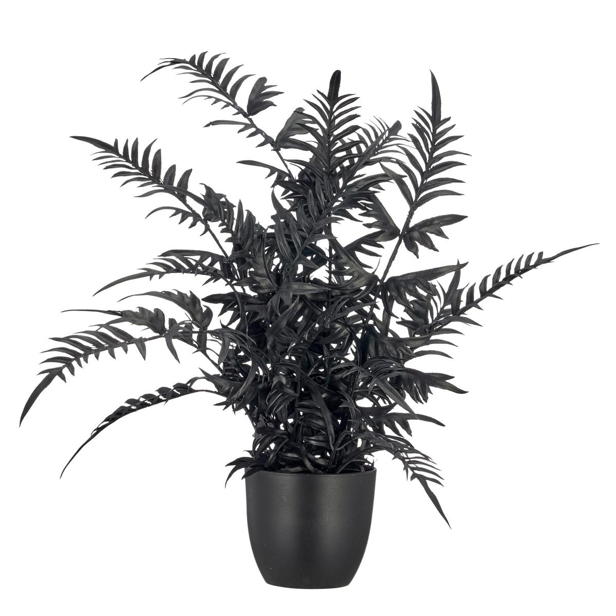 Kunstpflanze Pteris II Schwarz ca. 50cm - Schwarz/Braun, Basics, Kunststoff/Metall (50cm) - Mömax