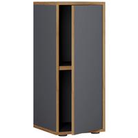 Arhivska Omara Salia B30, Antracit, Barva Hrasta - medeni hrast/antracit, Design, leseni material (30/74/33cm) - MID.YOU