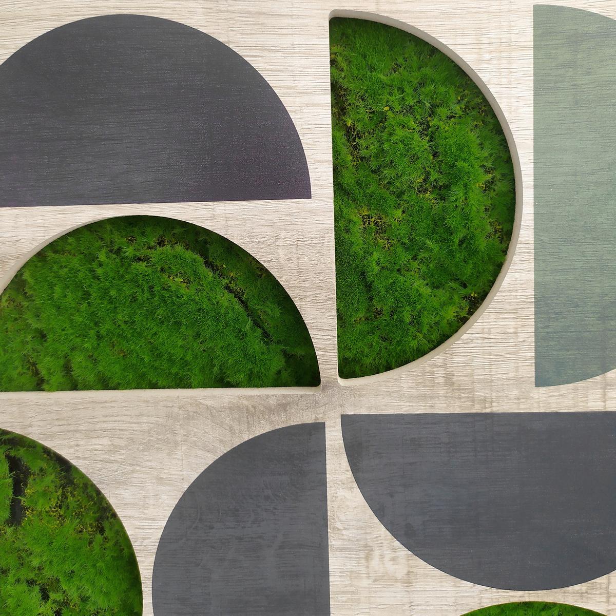 Moosbild Naturfarben/Schwarz/Grün - Dunkelgrün/Schwarz, Basics, Holz/Kunststoff (70/100cm)