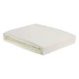 Plahta S Gumicom Elasthan Ca. 100x200cm - prirodne boje, tekstil (100/200cm) - Premium Living